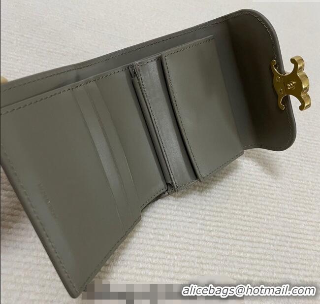 Super Quality Celine Small Wallet in Shiny Calfskin 10D783 Grey 2024