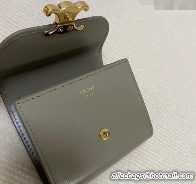 Super Quality Celine Small Wallet in Shiny Calfskin 10D783 Grey 2024