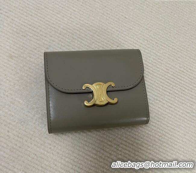 Super Quality Celine Small Wallet in Shiny Calfskin 10D783 Grey 2024