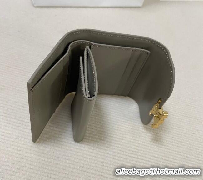 Super Quality Celine Small Wallet in Shiny Calfskin 10D783 Grey 2024