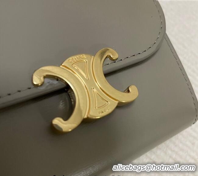 Super Quality Celine Small Wallet in Shiny Calfskin 10D783 Grey 2024
