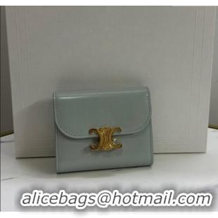 Big Discount Celine Small Wallet in Shiny Calfskin 10D783 Light Grey 2024