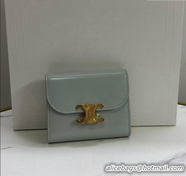 Big Discount Celine Small Wallet in Shiny Calfskin 10D783 Light Grey 2024