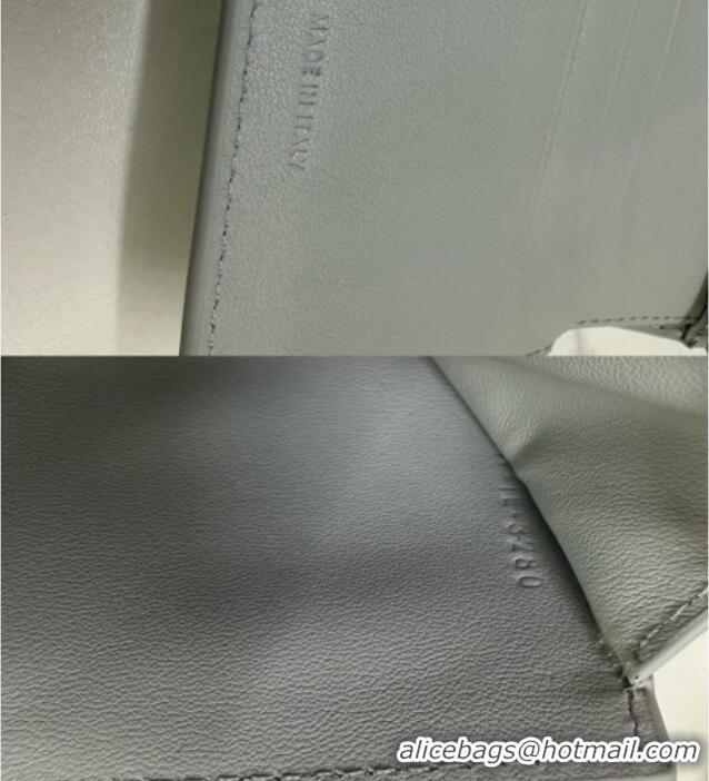 Big Discount Celine Small Wallet in Shiny Calfskin 10D783 Light Grey 2024