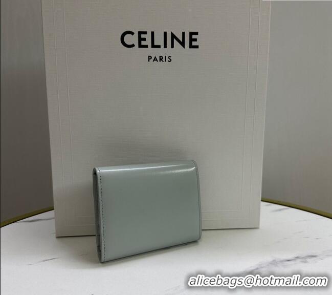 Big Discount Celine Small Wallet in Shiny Calfskin 10D783 Light Grey 2024