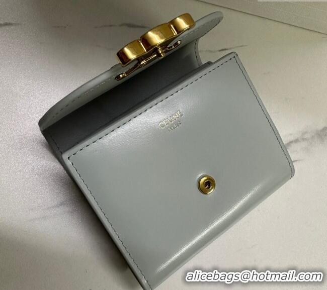 Big Discount Celine Small Wallet in Shiny Calfskin 10D783 Light Grey 2024