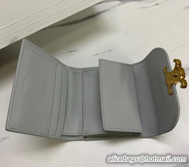 Big Discount Celine Small Wallet in Shiny Calfskin 10D783 Light Grey 2024