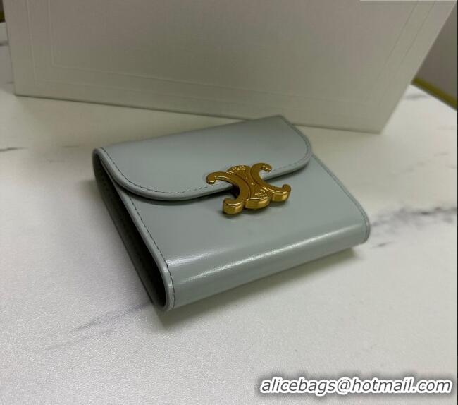 Big Discount Celine Small Wallet in Shiny Calfskin 10D783 Light Grey 2024