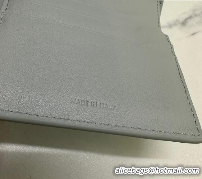 Big Discount Celine Small Wallet in Shiny Calfskin 10D783 Light Grey 2024