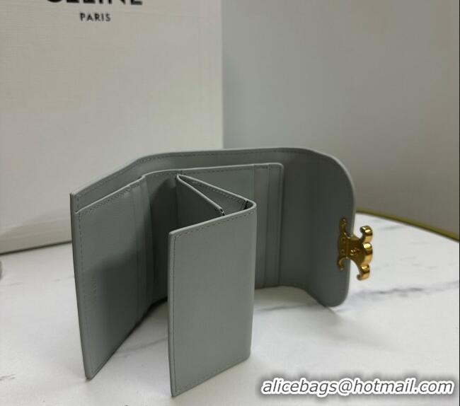 Big Discount Celine Small Wallet in Shiny Calfskin 10D783 Light Grey 2024