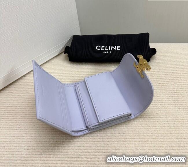 Best Price Discount Celine Small Wallet in Shiny Calfskin 10D783 Purple 2024