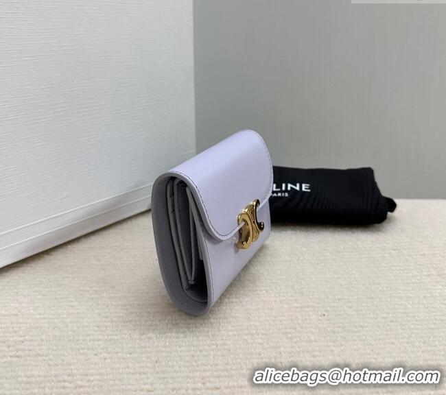 Best Price Discount Celine Small Wallet in Shiny Calfskin 10D783 Purple 2024