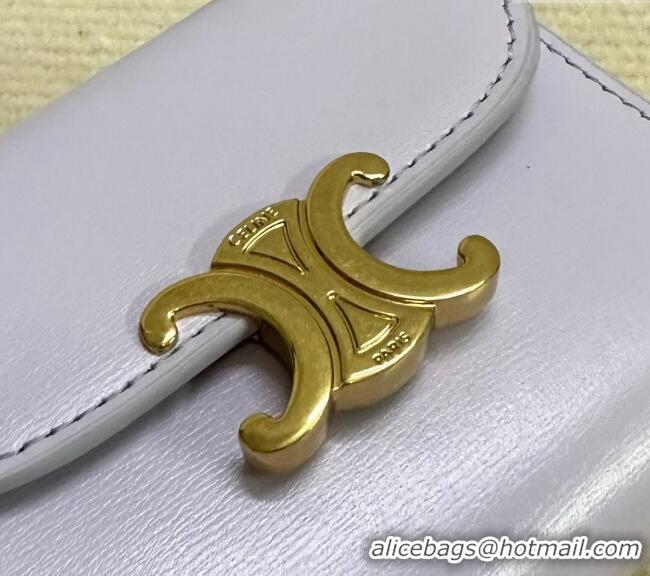 Best Price Discount Celine Small Wallet in Shiny Calfskin 10D783 Purple 2024