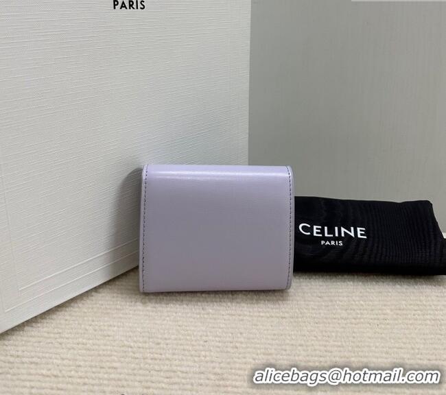 Best Price Discount Celine Small Wallet in Shiny Calfskin 10D783 Purple 2024