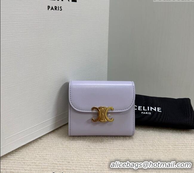 Best Price Discount Celine Small Wallet in Shiny Calfskin 10D783 Purple 2024