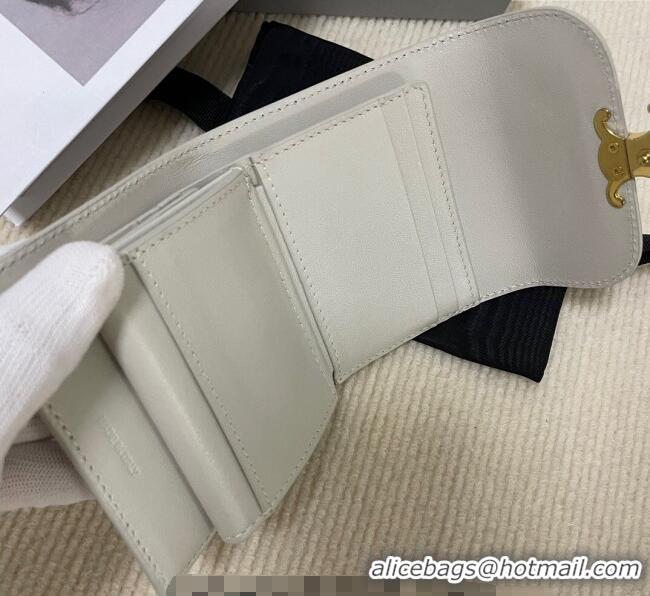 Good Quality Celine Small Wallet in Shiny Calfskin 10D783 Pale Grey 2024