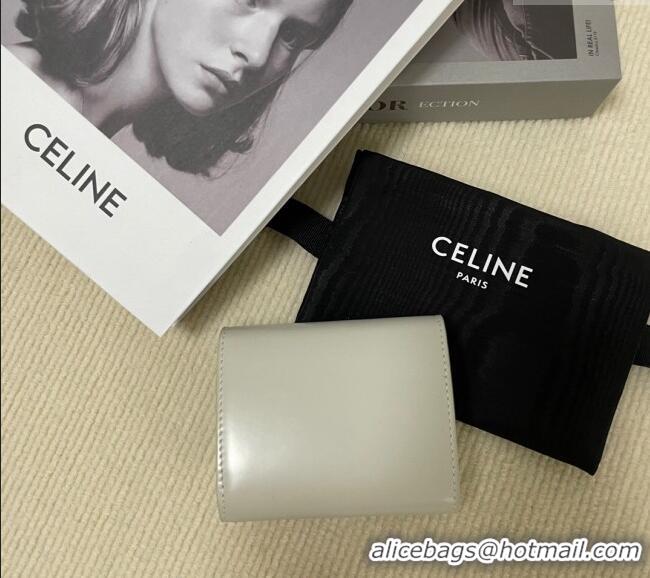 Good Quality Celine Small Wallet in Shiny Calfskin 10D783 Pale Grey 2024