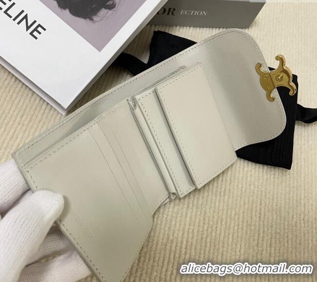 Good Quality Celine Small Wallet in Shiny Calfskin 10D783 Pale Grey 2024