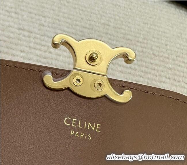 Top Quality Celine Card Holder Wallet with Flap Triomphe in Shiny Calfskin 10D583 Bronze 2024