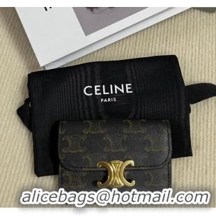 Discount Celine Card Holder Wallet with Flap in Triomphe Canvas 10D582 Brown 2024