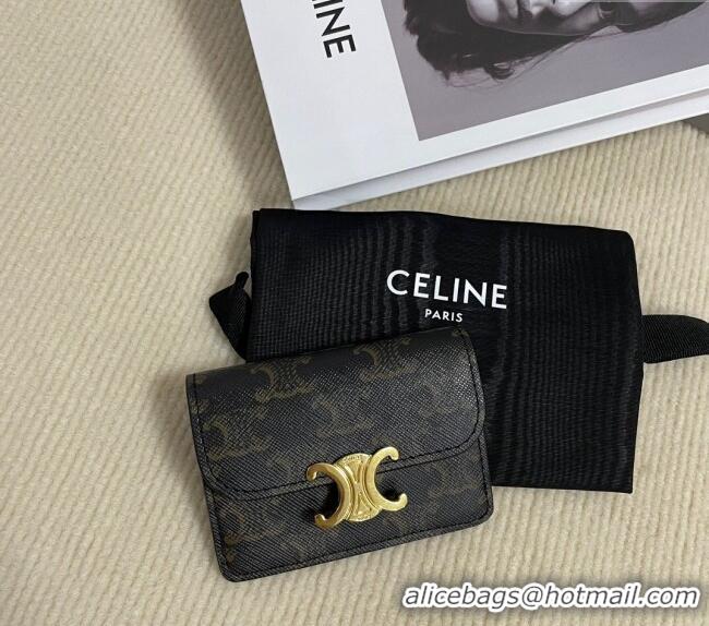 Discount Celine Card Holder Wallet with Flap in Triomphe Canvas 10D582 Brown 2024