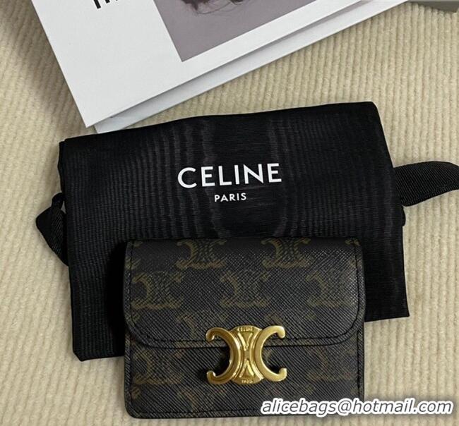 Discount Celine Card Holder Wallet with Flap in Triomphe Canvas 10D582 Brown 2024