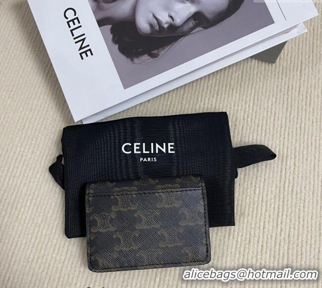 Discount Celine Card Holder Wallet with Flap in Triomphe Canvas 10D582 Brown 2024