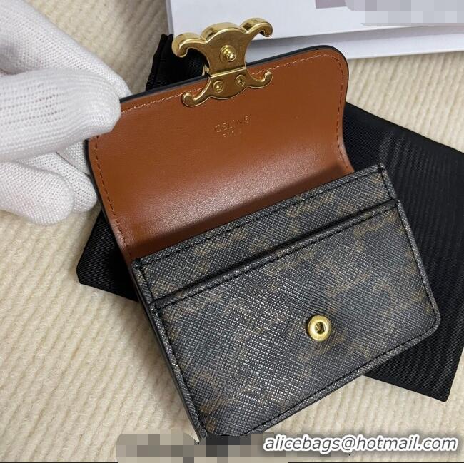 Discount Celine Card Holder Wallet with Flap in Triomphe Canvas 10D582 Brown 2024