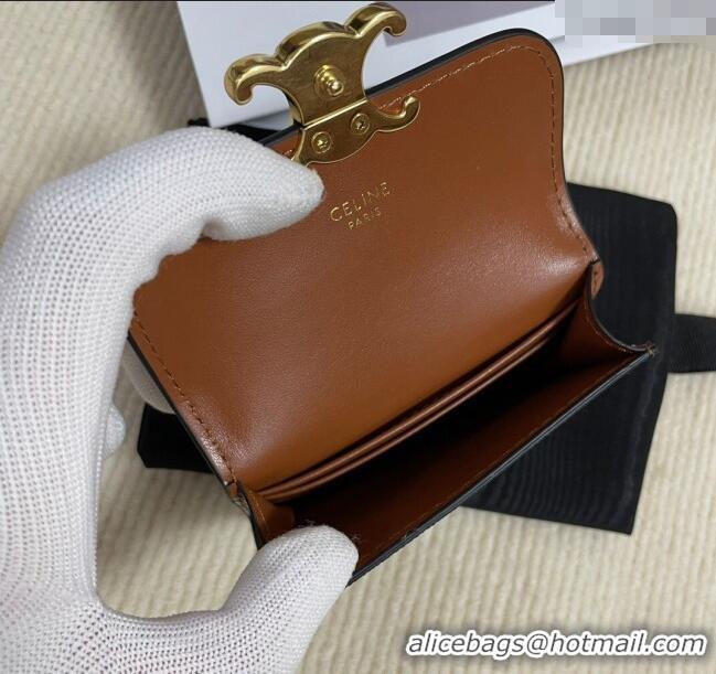 Discount Celine Card Holder Wallet with Flap in Triomphe Canvas 10D582 Brown 2024