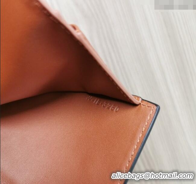 Spot Bulk Celine Small Trifold Wallet in Triomphe Canvas 10D572 Brown 2024