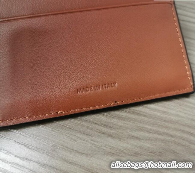 Spot Bulk Celine Small Trifold Wallet in Triomphe Canvas 10D572 Brown 2024