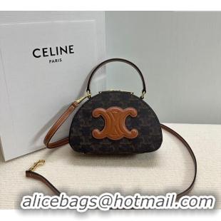 Top Grade Celine Half Moon Case in Triomphe Canvas 10K642 Brown 2024