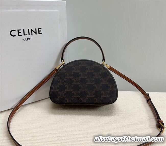 Top Grade Celine Half Moon Case in Triomphe Canvas 10K642 Brown 2024