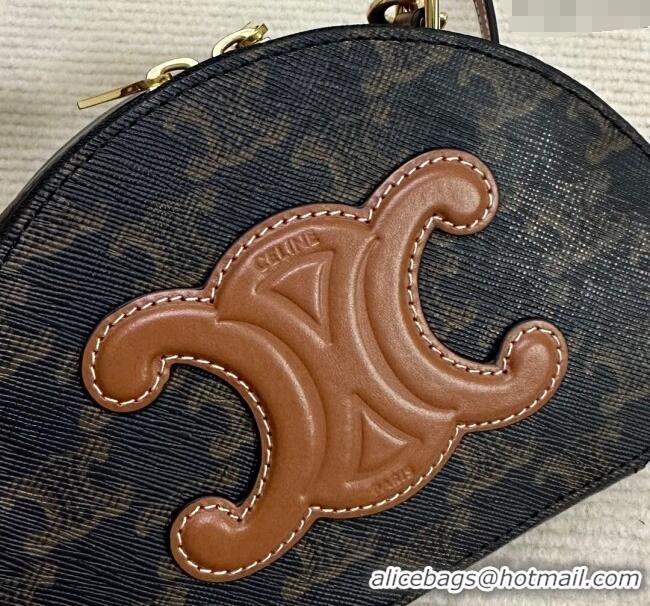 Top Grade Celine Half Moon Case in Triomphe Canvas 10K642 Brown 2024