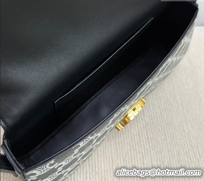 Best Price Celine Medium Lola Shoulder bag in Triomphe Canvas 115532 Black 2024