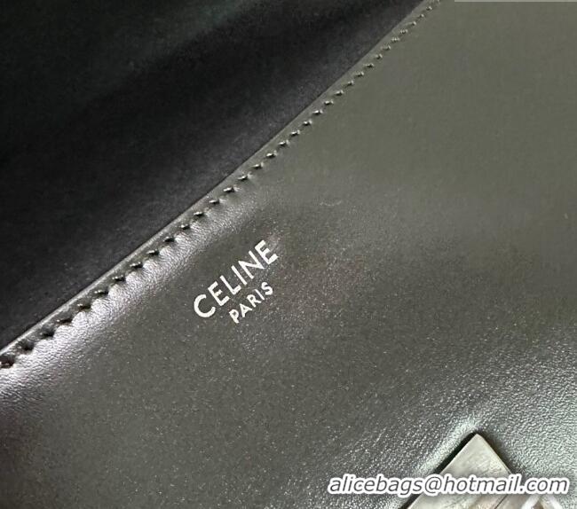 Best Quality Celine Medium Lola Shoulder bag in Shiny Calfskin 115533 Black 2024