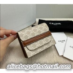 Spot Bulk Celine Business Card Holder in Triomphe Canvas and Lambskin 10E242 Beige Grey 2024