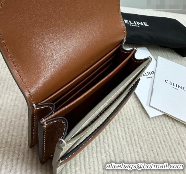 Spot Bulk Celine Business Card Holder in Triomphe Canvas and Lambskin 10E242 Beige Grey 2024