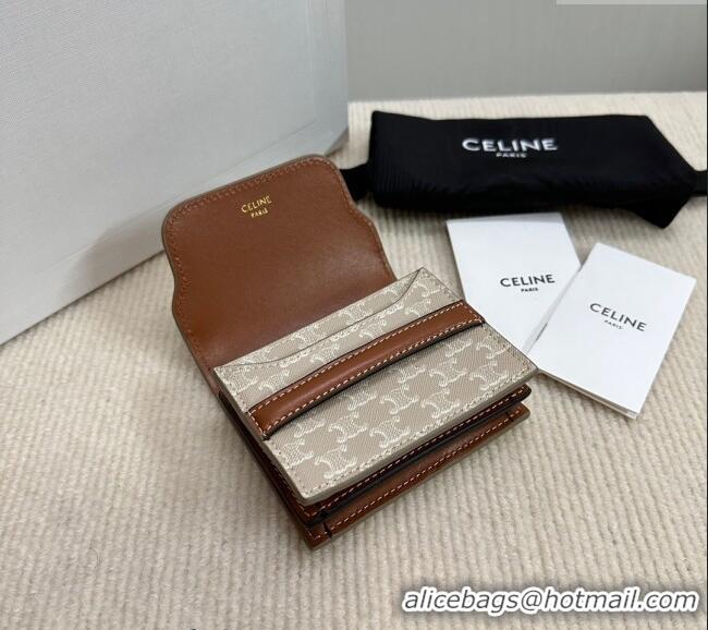 Spot Bulk Celine Business Card Holder in Triomphe Canvas and Lambskin 10E242 Beige Grey 2024