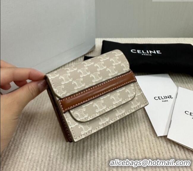 Spot Bulk Celine Business Card Holder in Triomphe Canvas and Lambskin 10E242 Beige Grey 2024