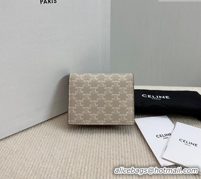 Spot Bulk Celine Business Card Holder in Triomphe Canvas and Lambskin 10E242 Beige Grey 2024