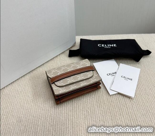 Spot Bulk Celine Business Card Holder in Triomphe Canvas and Lambskin 10E242 Beige Grey 2024