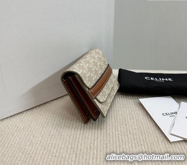 Spot Bulk Celine Business Card Holder in Triomphe Canvas and Lambskin 10E242 Beige Grey 2024