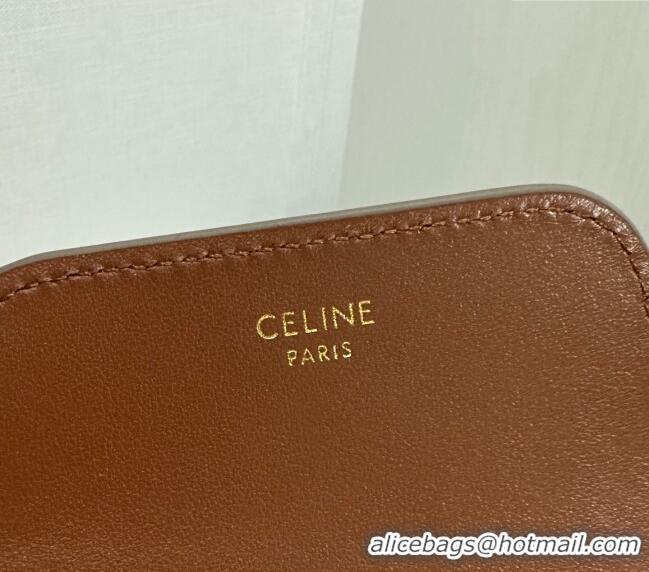 Spot Bulk Celine Business Card Holder in Triomphe Canvas and Lambskin 10E242 Beige Grey 2024