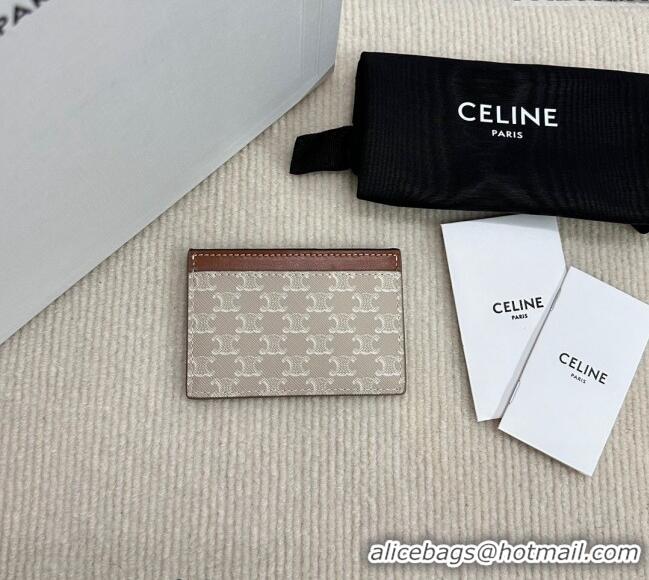 Market Sells Celine Card Holder in Triomphe Canvas with CELINE Print 10B702 Beige Grey 2024