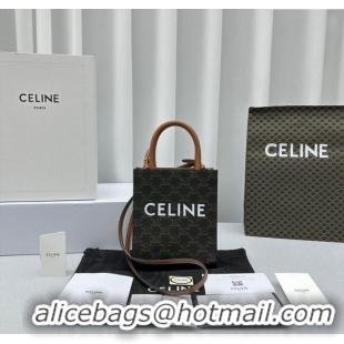 Classic Specials Celine Mini Vertical Cabas Tote Bag in Triomphe Canvas and Calfskin 60007 Tan Brown 2024