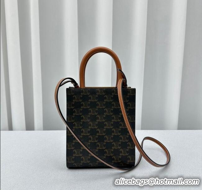 Classic Specials Celine Mini Vertical Cabas Tote Bag in Triomphe Canvas and Calfskin 60007 Tan Brown 2024