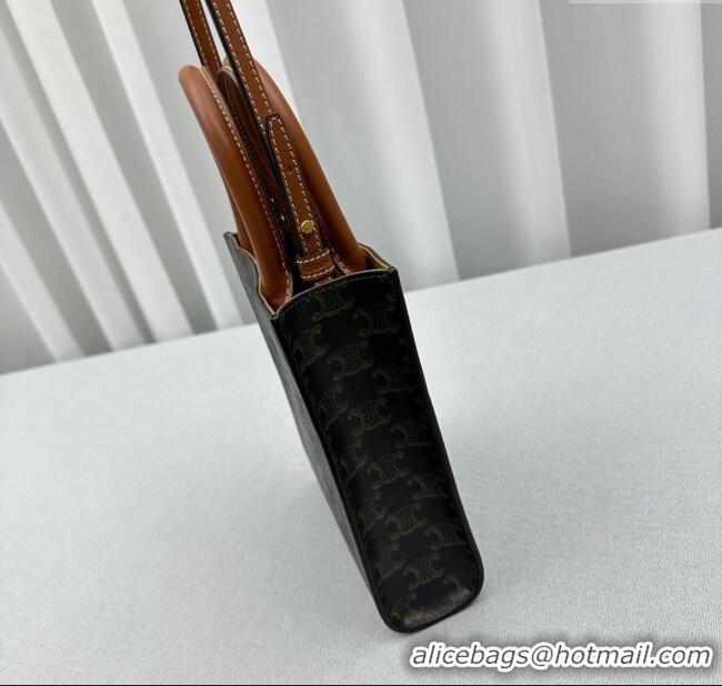 Classic Specials Celine Mini Vertical Cabas Tote Bag in Triomphe Canvas and Calfskin 60007 Tan Brown 2024