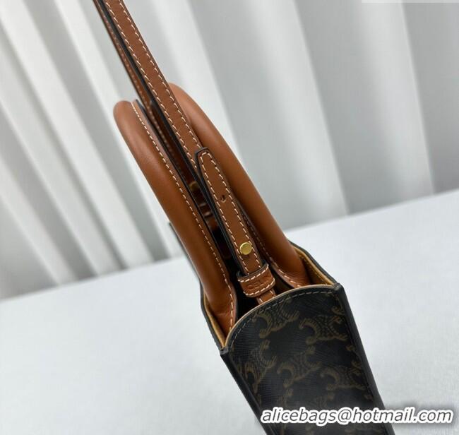 Classic Specials Celine Mini Vertical Cabas Tote Bag in Triomphe Canvas and Calfskin 60007 Tan Brown 2024