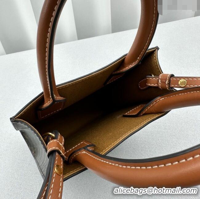 Classic Specials Celine Mini Vertical Cabas Tote Bag in Triomphe Canvas and Calfskin 60007 Tan Brown 2024